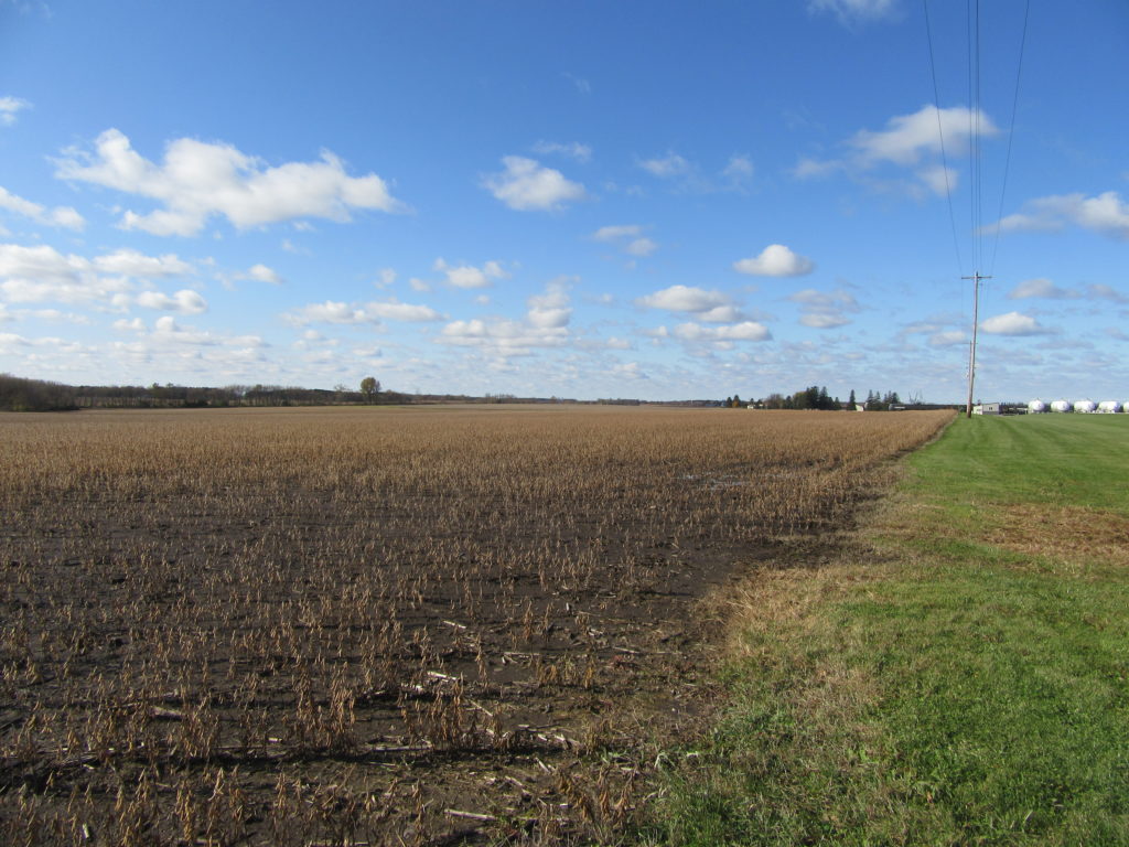 Rural farmland for sale in Eyota, MN