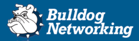 Logo representing the Bulldog Networking Logo brand